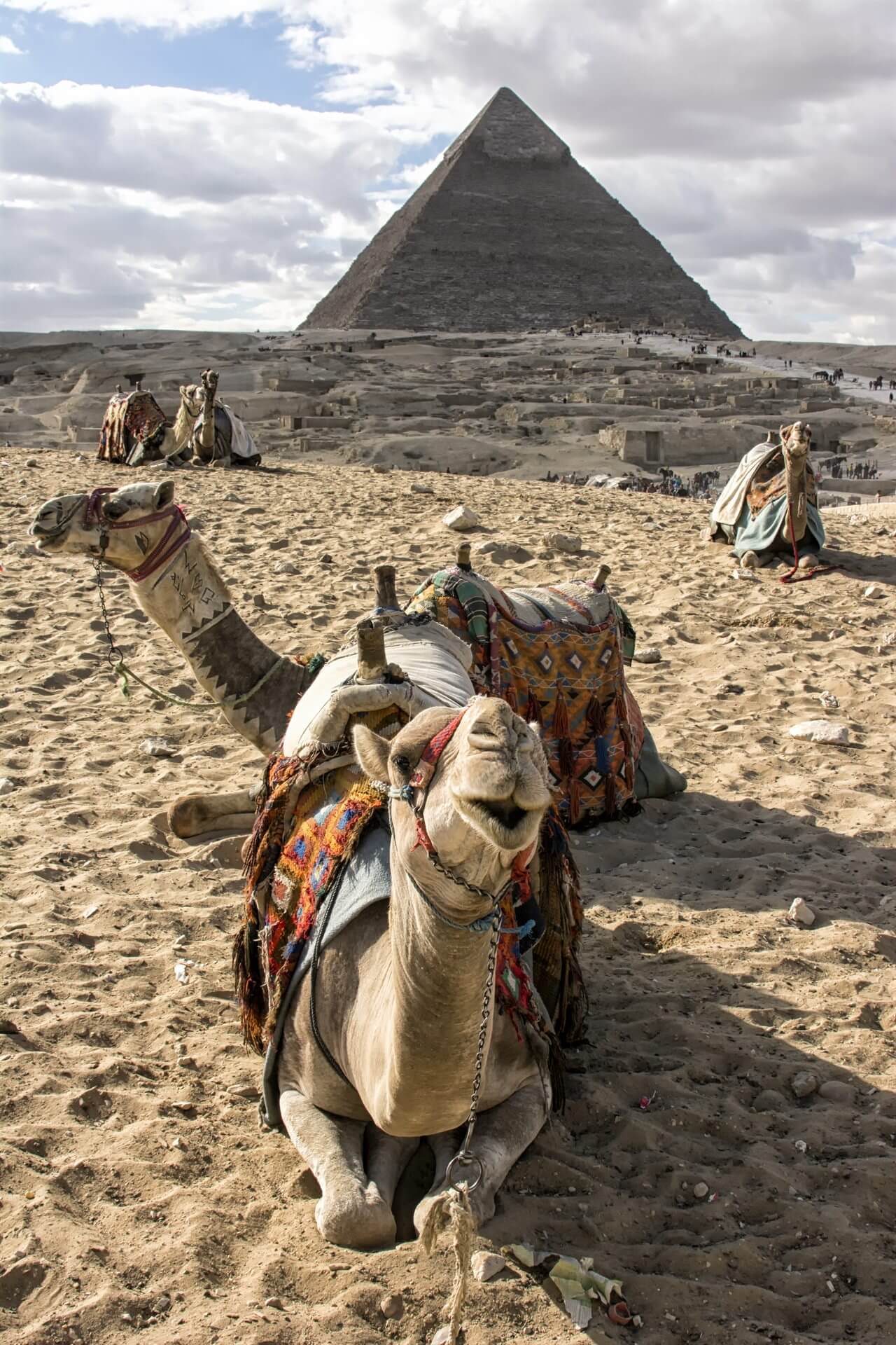 Egyptian Museum and National Museum of Egyptian Civilization gallery image 2